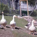 Hotel Rifugio Marchett *